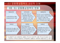 경제경영 EU 의 공동통상정책-5