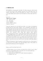 경제경영 Reflect com 한국 진출 전략-3