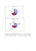 경제경영 Reflect com 한국 진출 전략-10