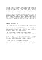경제경영 Reflect com 한국 진출 전략-18
