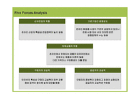 경제경영 Reflect com의 한국시장 진출을 위한 Internet Marketing Strategy-5