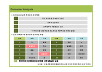 경제경영 Reflect com의 한국시장 진출을 위한 Internet Marketing Strategy-8