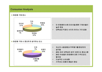 경제경영 Reflect com의 한국시장 진출을 위한 Internet Marketing Strategy-11