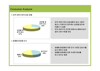경제경영 Reflect com의 한국시장 진출을 위한 Internet Marketing Strategy-12