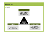 경제경영 Reflect com의 한국시장 진출을 위한 Internet Marketing Strategy-18