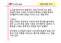 경제경영 놀부 해외진출 마케팅 사례 분석-18