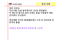 경제경영 놀부 해외진출 마케팅 사례 분석-19