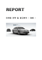경제경영 마케팅 전략 및 광고분석 SM5-1