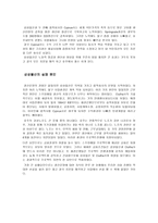 경제경영 삼성물산의 호주 탄광개발-5