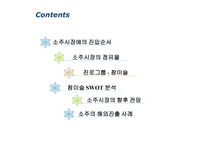 경제경영 소주시장에 관한 경영사례 조사-2