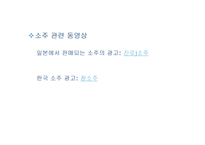 경제경영 소주시장에 관한 경영사례 조사-12