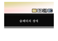 경제경영 슘페터의 생애와 시대적 배경-19