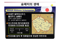 경제경영 슘페터의 생애와 시대적 배경-20