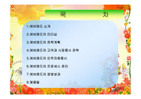 경제경영 에버랜드 경영 분석-2