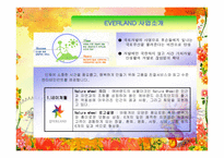 경제경영 에버랜드 경영 분석-4