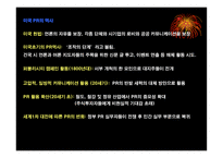 경제경영 한국 기업의해외 마케팅 성공 사례-5