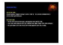 경제경영 한국 기업의해외 마케팅 성공 사례-10