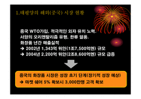경제경영 한국 기업의해외 마케팅 성공 사례-16