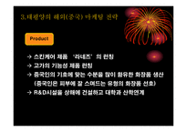 경제경영 한국 기업의해외 마케팅 성공 사례-19