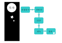 한경희 스팀 청소기 PPT 한경희 스팀 청소기 SWOT 분석 한경희 스팀 청소기 STP-2