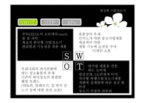 한경희 스팀 청소기 PPT 한경희 스팀 청소기 SWOT 분석 한경희 스팀 청소기 STP-4