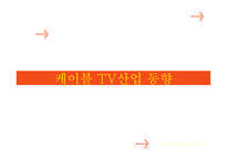케이블 TV산업 동향 케이블 TV산업 구조 케이블 TV산업 행위 케이블 TV산업 성과-1