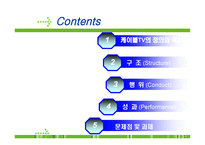 케이블 TV산업 동향 케이블 TV산업 구조 케이블 TV산업 행위 케이블 TV산업 성과-2