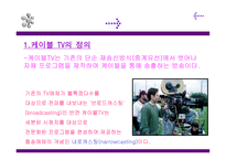 케이블 TV산업 동향 케이블 TV산업 구조 케이블 TV산업 행위 케이블 TV산업 성과-4