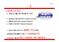 케이블 TV산업 동향 케이블 TV산업 구조 케이블 TV산업 행위 케이블 TV산업 성과-5
