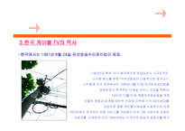 케이블 TV산업 동향 케이블 TV산업 구조 케이블 TV산업 행위 케이블 TV산업 성과-6