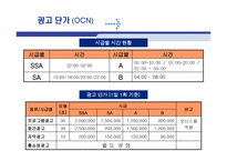 케이블 TV산업 동향 케이블 TV산업 구조 케이블 TV산업 행위 케이블 TV산업 성과-20