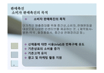 글로벌 촉진전략-14