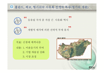 러시아 동유럽 지역연구 PPT 러시아 동유럽 사유화 러시아 사유화 전개-20