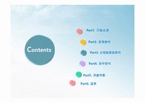 기업정보의 이해 삼성전자 기업경영분석-2
