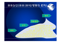 기업법발표 주주 주주권 주권 주주명부 주주 소개 주주 조사 주주 개요-7