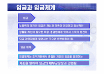 임금의 수준 체계 형태 임금과 임금체계 임금체계의 결정 임금체계의 종류 임금-2