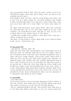 아이팟 시장 내 아이팟 현황 아이팟 마케팅 분석 아이팟 STP 분석-8