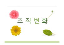 조직변화 성공사례 GE 유한킴벌리 서울시 HMI 실패사례-1