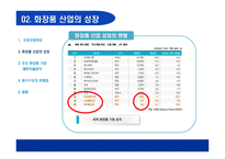 화장품산업에 대한 회계학적 분석 회계란 무엇인가 화장품산업 성장-12