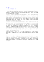 하이닉스 반도체 재무관리-3