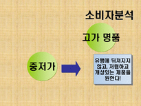 자라 PPT 자라 소개 자라 성공전략 자라 전망 자라 SCM 자라 QR 자라 SPA 자라-8