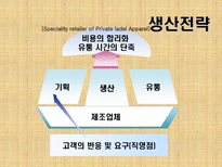 자라 PPT 자라 소개 자라 성공전략 자라 전망 자라 SCM 자라 QR 자라 SPA 자라-17