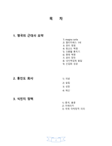 영국의 근대사 요약 및 식민지 정책과 동인도 회사-2