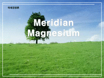 국제경영론 Median 마그네슘 국제 기술 이동 PPT Median 기업소개 Median 문제점-1