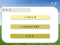 국제경영론 Median 마그네슘 국제 기술 이동 PPT Median 기업소개 Median 문제점-2