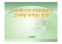 한국 멕시코 FTA체결이 한국에 미치는 영향-1
