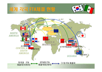 한국 멕시코 FTA체결이 한국에 미치는 영향-8