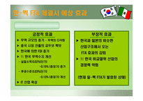 한국 멕시코 FTA체결이 한국에 미치는 영향-19