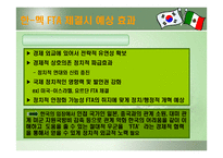 한국 멕시코 FTA체결이 한국에 미치는 영향-20