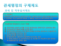 관세법 납세자의 권리제도-18